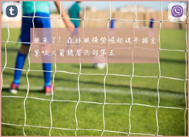 狼来了！森林狼强势崛起追平掘金紧咬火箭稳居西部第五