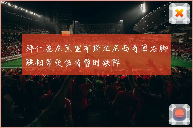 拜仁慕尼黑宣布斯坦尼西奇因右脚踝韧带受伤将暂时缺阵